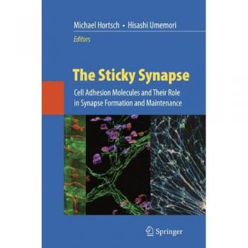 The Sticky Synapse