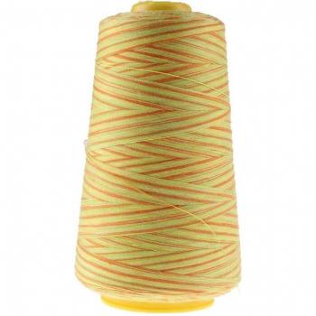 Carrete de hilo multicolor para coser 3000Y 40S/2