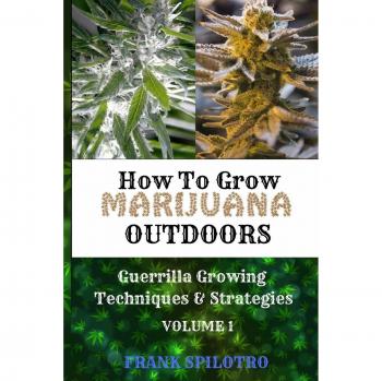 HOW TO GROW MARIJUANA OUTDOORS: Guerrilla Growing Techniques & Strategies