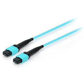 Equip MTP/MTP Fiber Optic Patch Cable, OM4, 5m
