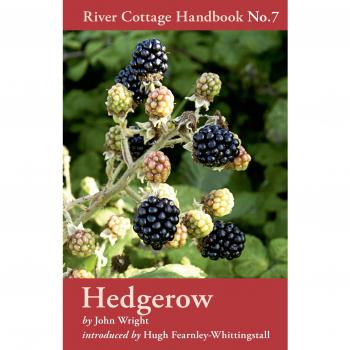 Hedgerow
