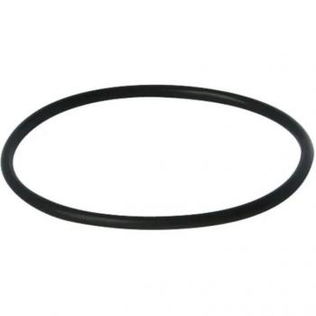 Wedi Mini Filtro Doccia con Guarnizione O-ring