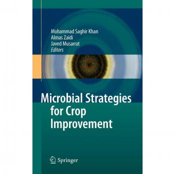 Microbial Strategies for Crop Improvement