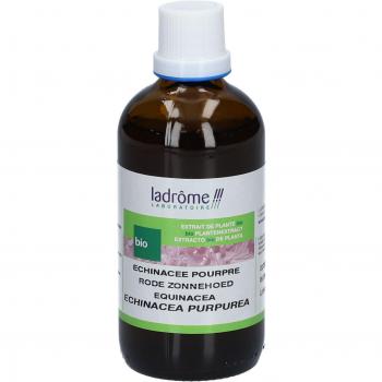 Concentrado de Equinácea 100 ml