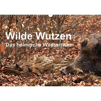 Wilde Wutzen. Das heimische Wildschwein