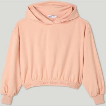 Felpa Calvin Klein Jeans con Cappuccio 12 Anni Pink Sand
