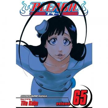 Bleach, Vol. 65, Belletristik von Tite Kubo
