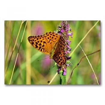 Textil‑Leinwand „Kais
