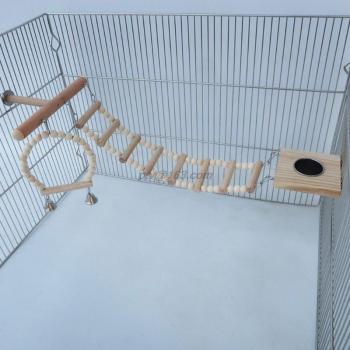 Jouets à Mâcher en Bois pour Perroquets