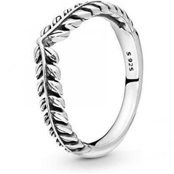 Anillo Deseo Animado Talla 56