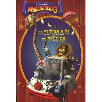 Le roman du film
