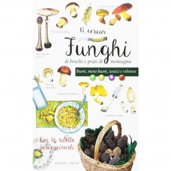 A cercar funghi di boschi e prati di montagna. Buoni, meno buoni, tossici e velenosi. Con le ricette per cucinarli