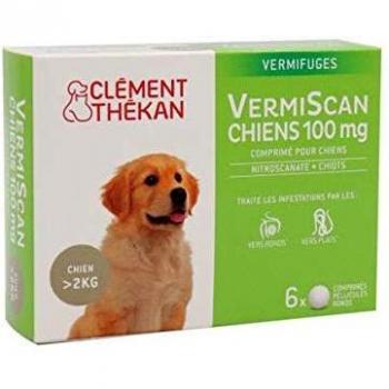 VERMISCAN 100mg Cpr B/6