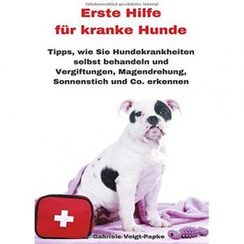 Erste Hilfe für kranke Hunde