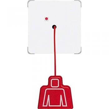 Jung Zugtaster 4011377108677 – NRS CD 0834 ZT WW, Schraubbefestigung, Behindertenelement