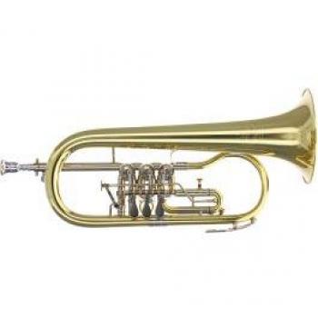 B&S 17/2T-L Flugelhorn in Si bemolle (Versione Pro)