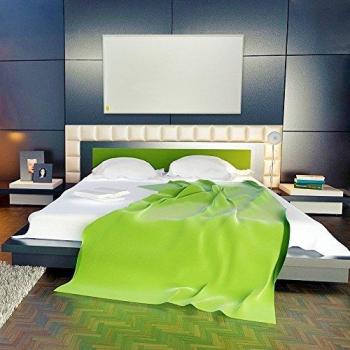 VIESTA F450 Panneau Radiateur Infrarouge en Verre Carbone