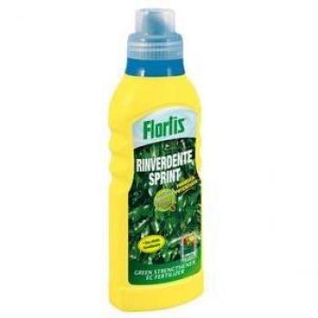 Sprint Rinnovatore 500g