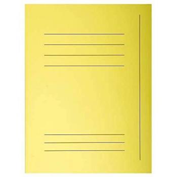 Chemise 3 rabats avec cadre d'indexage Exacompta Super 250