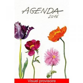 Agenda 2016