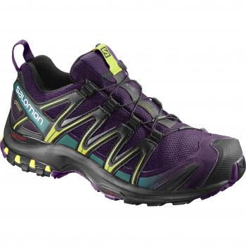 Salomon XA Pro 3D GTX W, Calzado de Montaña para Mujer, Morado/Negro