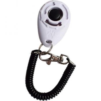 Accessoire de formation pour chien