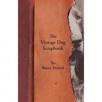 The Vintage Dog Scrapbook