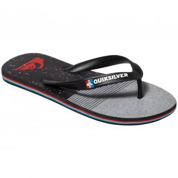 Quiksilver Molokai Ag47 Re B Sandalias infantiles, Gris