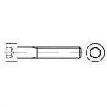 Vis TOOLCRAFT 80 mm tête cylindrique 6 pans