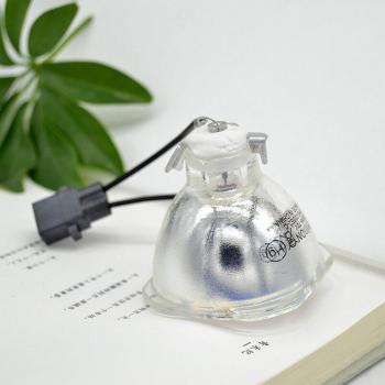 V13H010L87 Projector Lamp