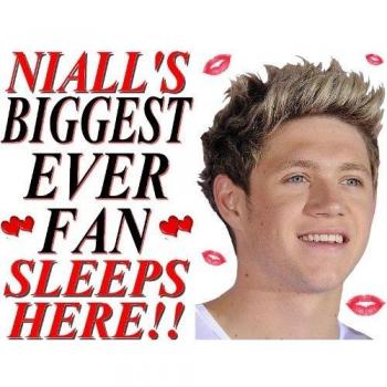 Niall Horan Inspired Pillow Cover