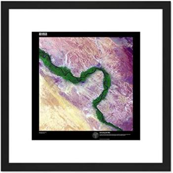 Artery8 Earth Art: Nile Life 8x8 Black Wood-Framed Picture