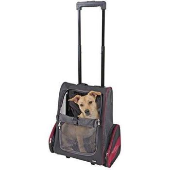 Axion Trolley Bag 42 x 25 x 55 & 103 cm