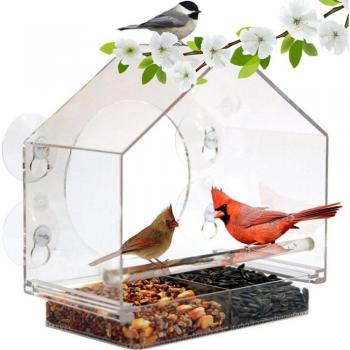 Fenster-Vogelfutterspender aus Acryl mit Schiebetablett und Eichhörnchen-Schutz