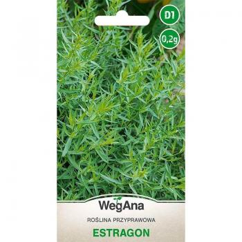 Hierba Aromática Estragón 0,2 g – WegAna