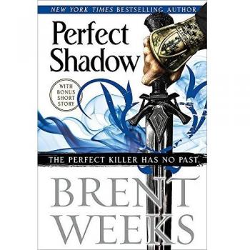 Perfect Shadow: A Night Angel Novella