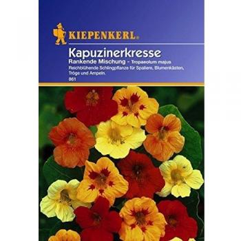 Nasturtium Seeds Climbing Mix