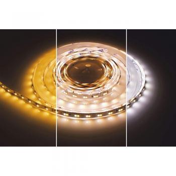 9.6W/M LED Strip 120 LEDs/M