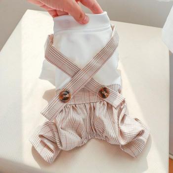 Vêtements printemps été pour chien