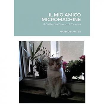 Il Mio Amico Micromachine: Il Gatto più Buono di Tirrenia