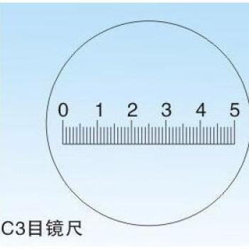 19mm Calibration Ruler for Microscope