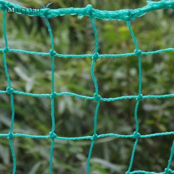 3m x 3m Heavy Duty Support Net for Climbing Plants