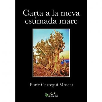 Carta a la meva estimada mare (Tapa blanda).