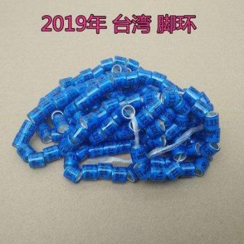 Taiwanese Blue Pigeon Rings