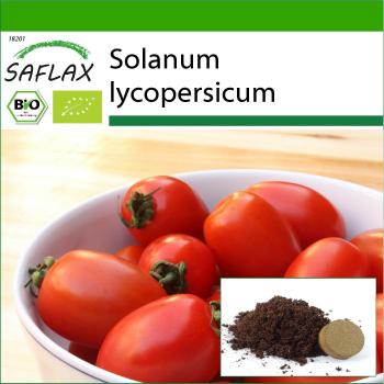 SAFLAX Premium Bio Tomaten­Samen Principe Borghese – 10 Stück + Substrat