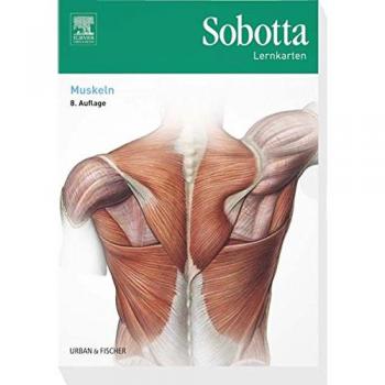 Sobotta Lernkarten Muskeln