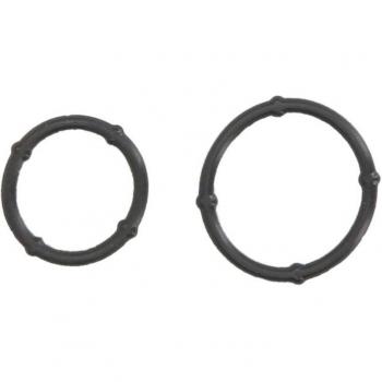 Conjunto de Junta e Bomba de Óleo ELRING 487.830