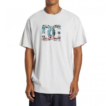 DC Shoes T-shirt a Maniche Corte Star Fill Snow Heather