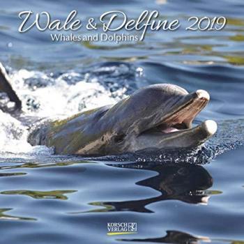 Wale und Delfine