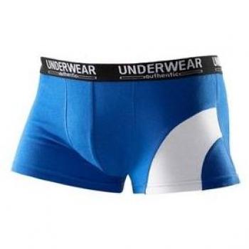 Boxershorts für Herren AUTHENTIC UNDERWEAR, XL, Blau